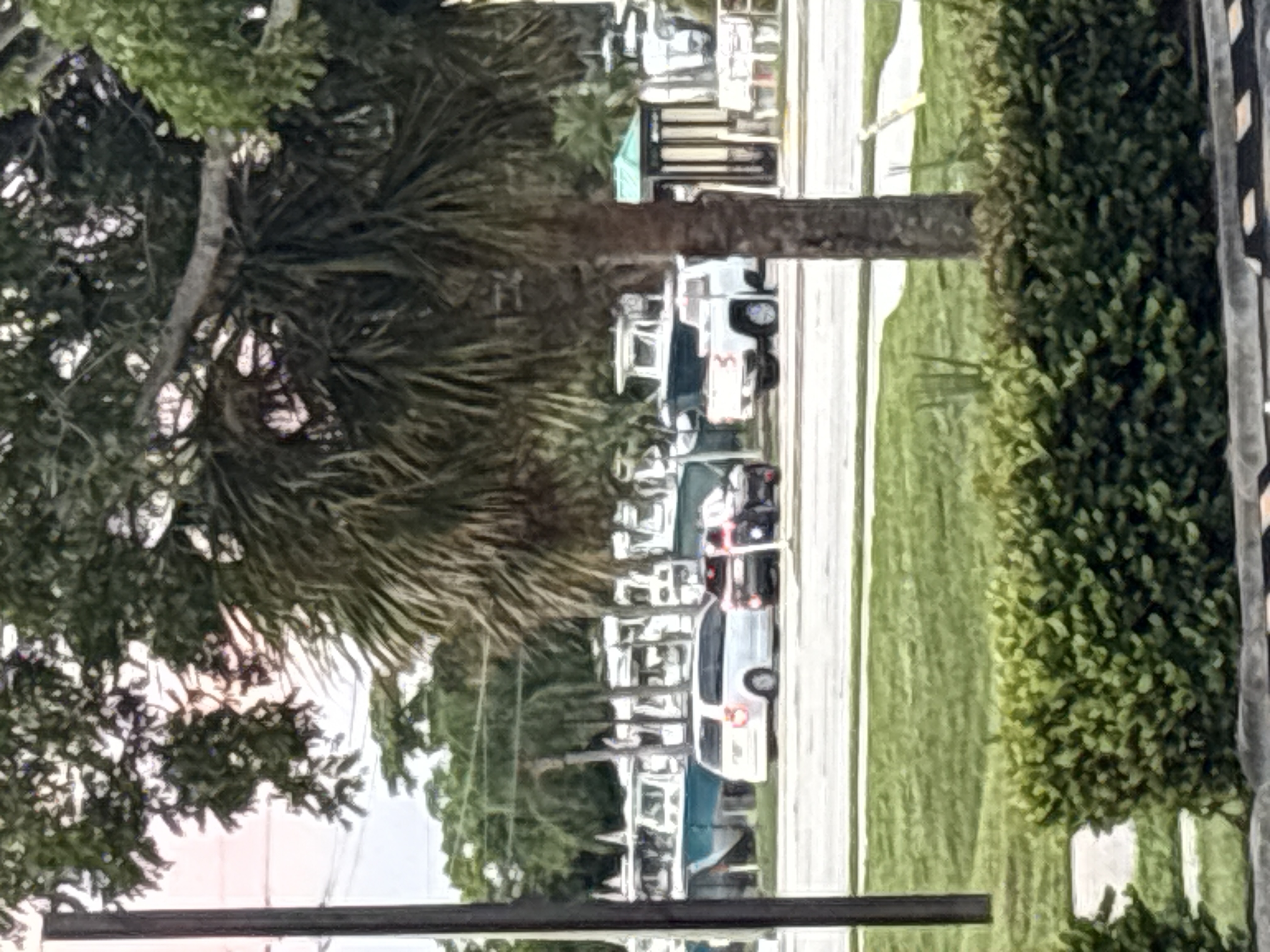 ICE 目击报告现场图片 · 11999 S Cleveland Ave, Fort Myers, FL 33907, USA