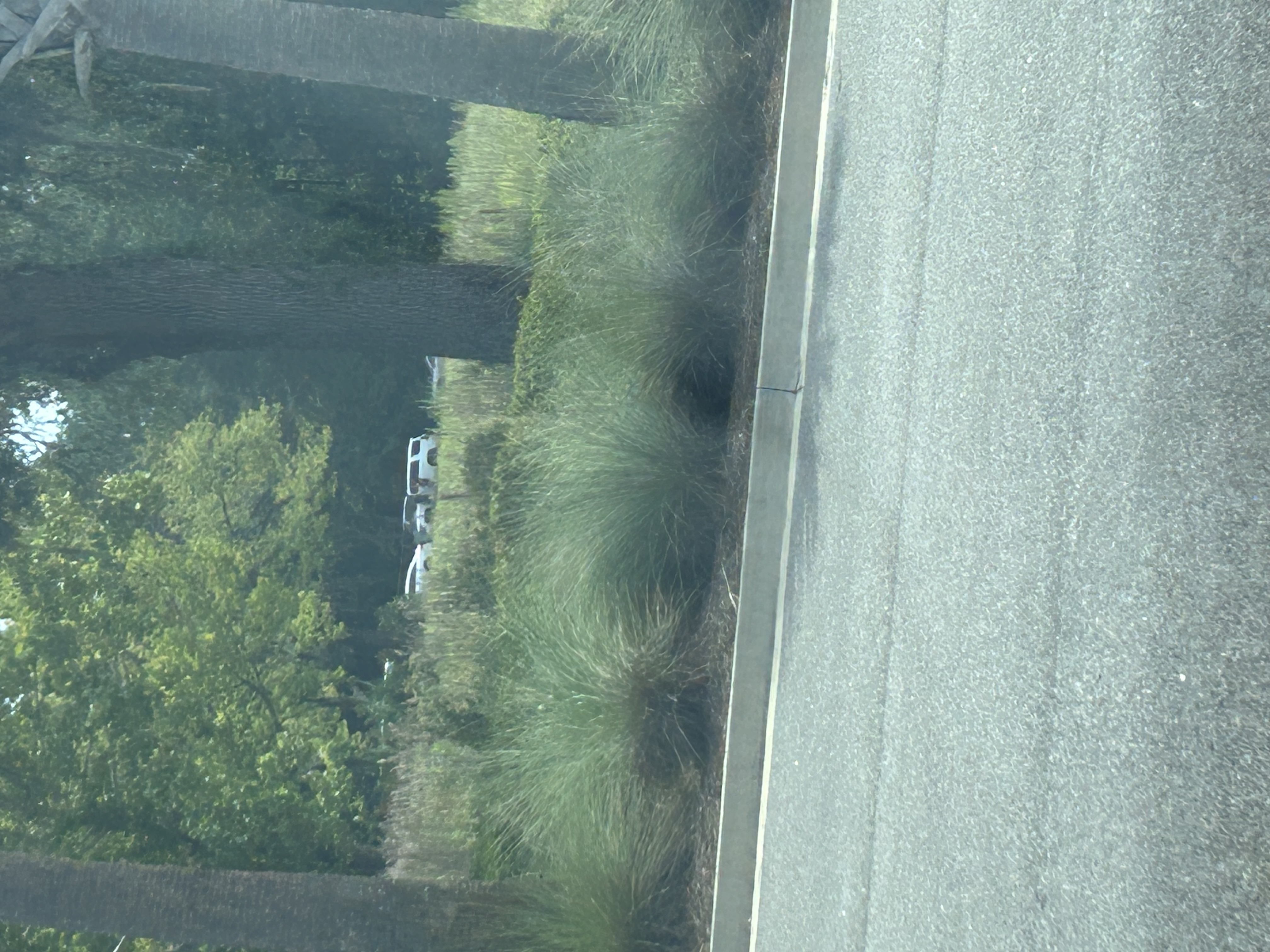 ICE 目击报告现场图片 · 76023 Bobby Dr, Yulee, FL 32097, USA